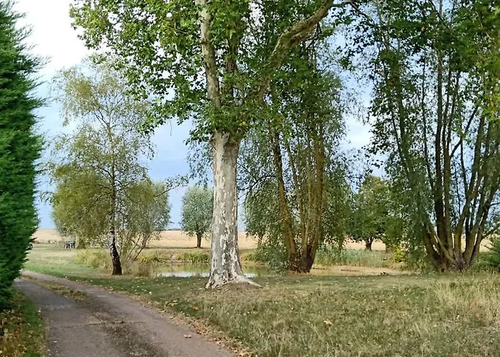 Chez Magali